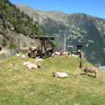 arinsal-2